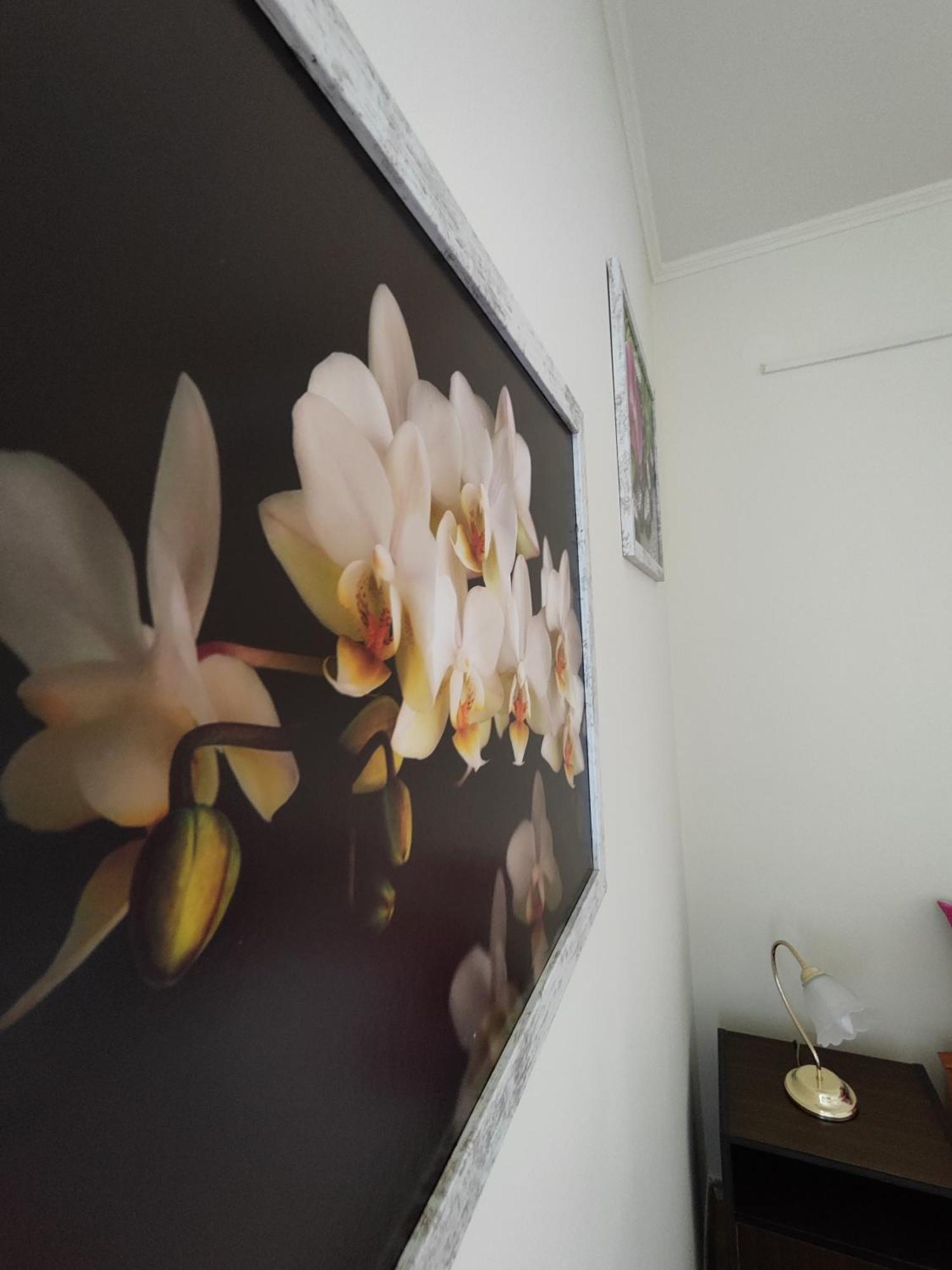 Ferienwohnung Havasi Ueduelohaz Gyenesdiás Exterior foto